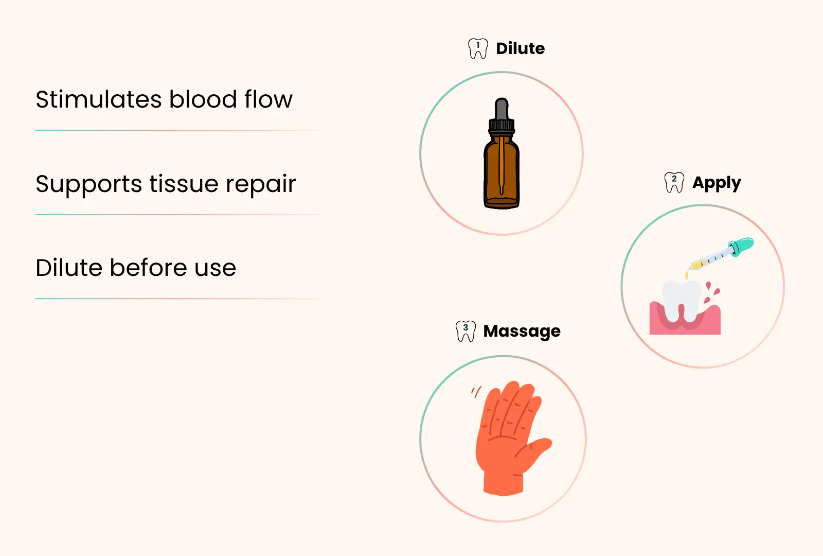 How to use eucalyptus oil for gums - dilution and application steps for effective gum care